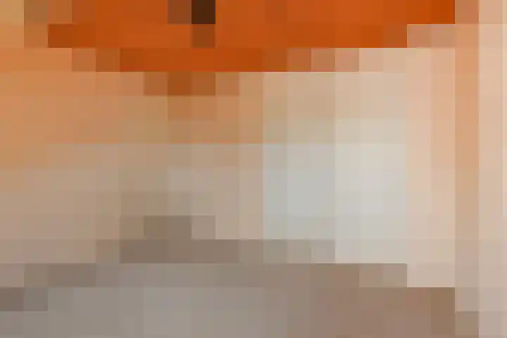Fresiastraat 5 Naaldwijk thumbnail 45