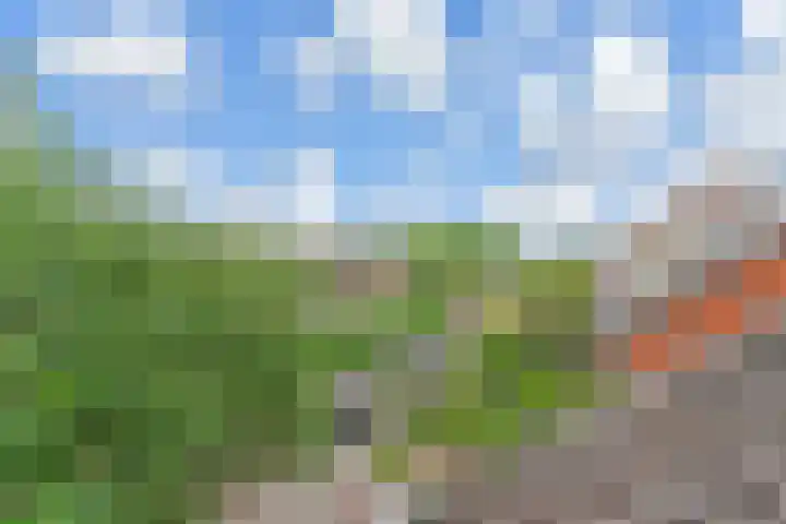 Fresiastraat 5 Naaldwijk thumbnail 48