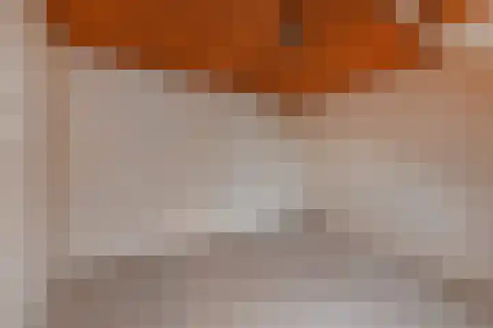 Fresiastraat 5 Naaldwijk thumbnail 49