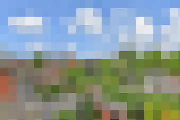 Fresiastraat 5 Naaldwijk thumbnail 50