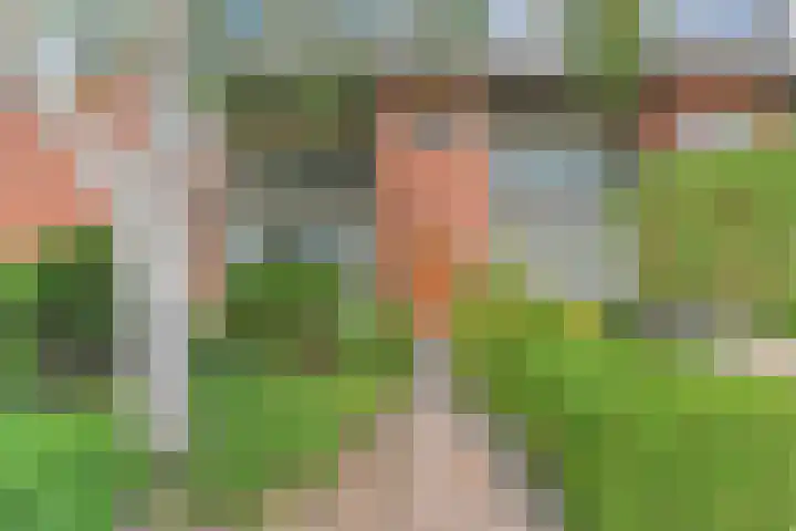 Fresiastraat 5 Naaldwijk thumbnail 51