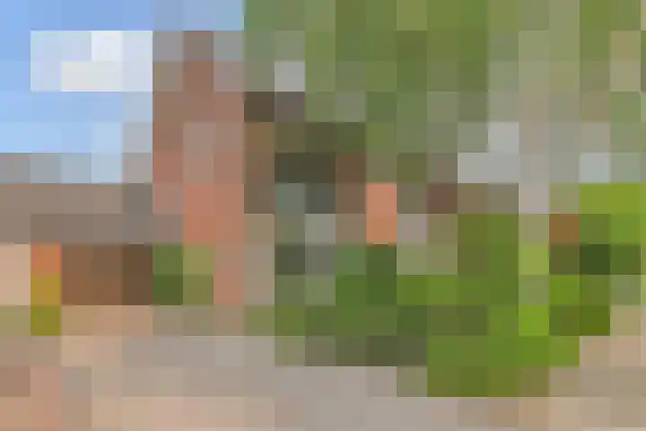 Fresiastraat 5 Naaldwijk thumbnail 52