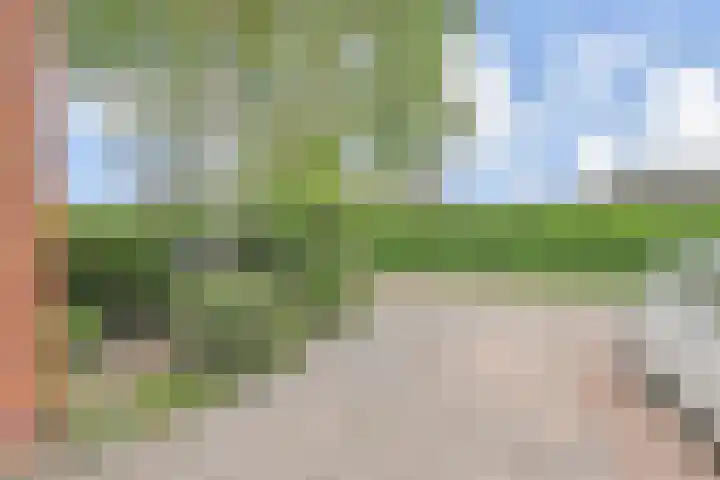 Fresiastraat 5 Naaldwijk thumbnail 56