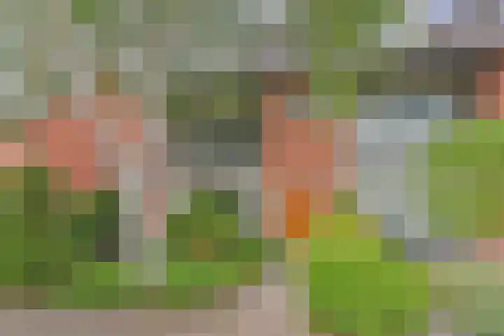 Fresiastraat 5 Naaldwijk thumbnail 57
