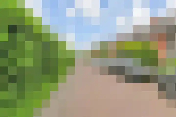 Fresiastraat 5 Naaldwijk thumbnail 58