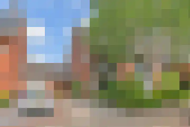 Fresiastraat 5 Naaldwijk thumbnail 6