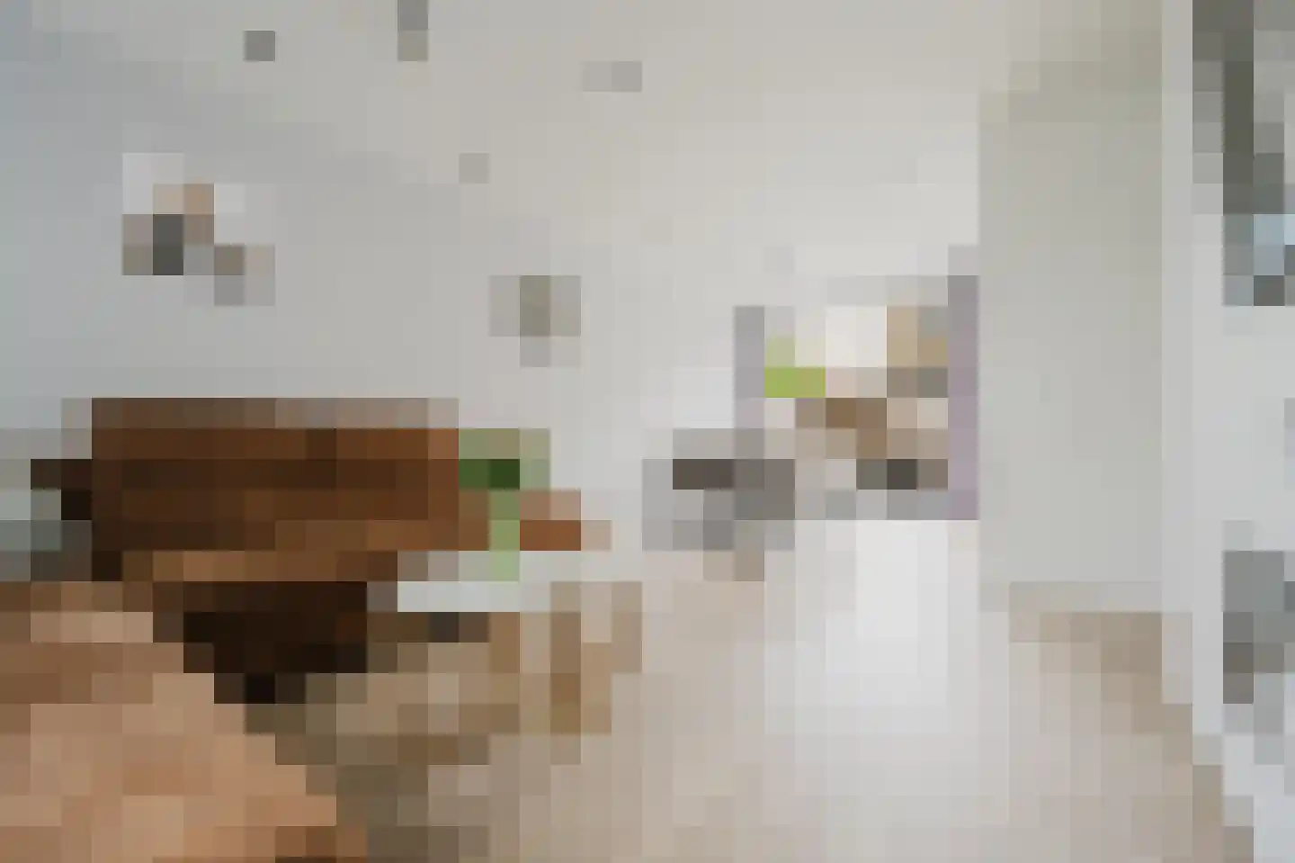 Fresiastraat 50 Spijkenisse thumbnail 14