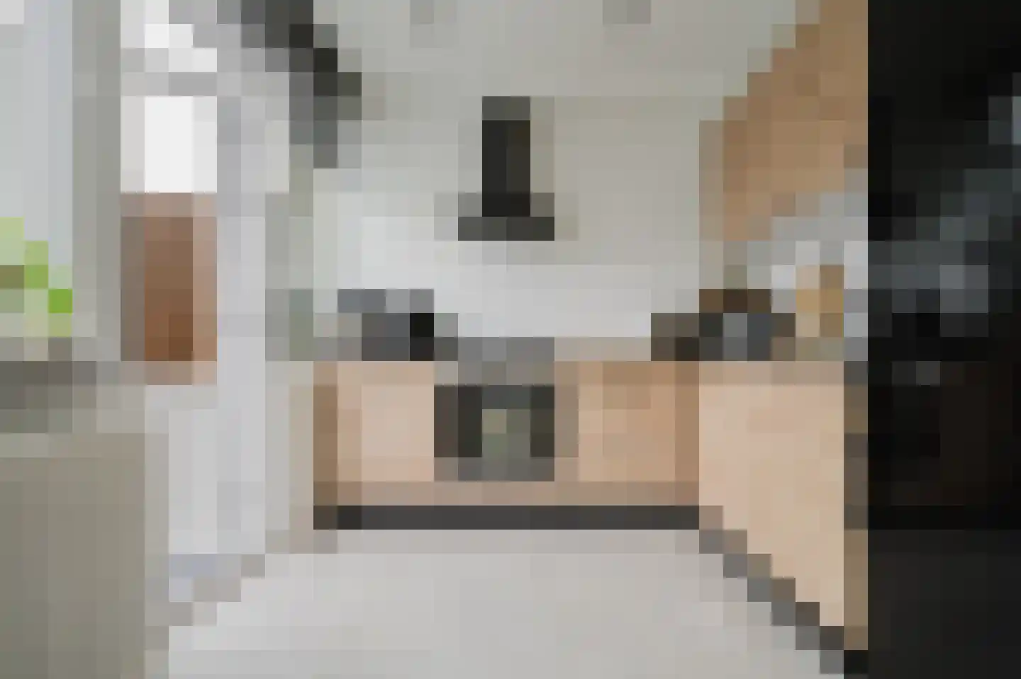 Fresiastraat 50 Spijkenisse thumbnail 15