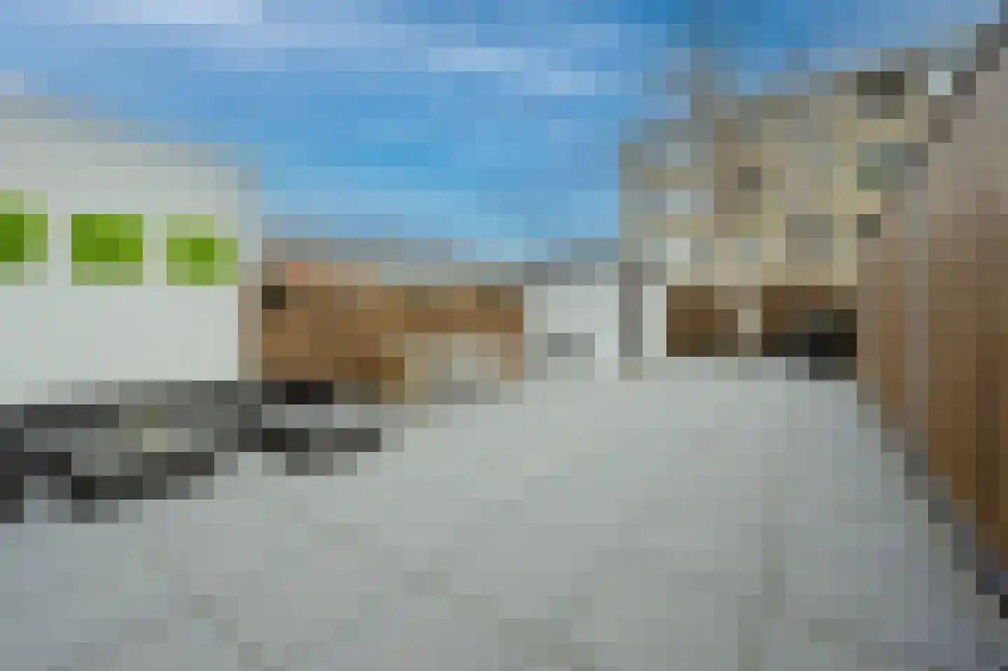 Fresiastraat 50 Spijkenisse thumbnail 16
