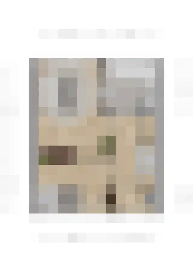 Fresiastraat 50 Spijkenisse thumbnail 18