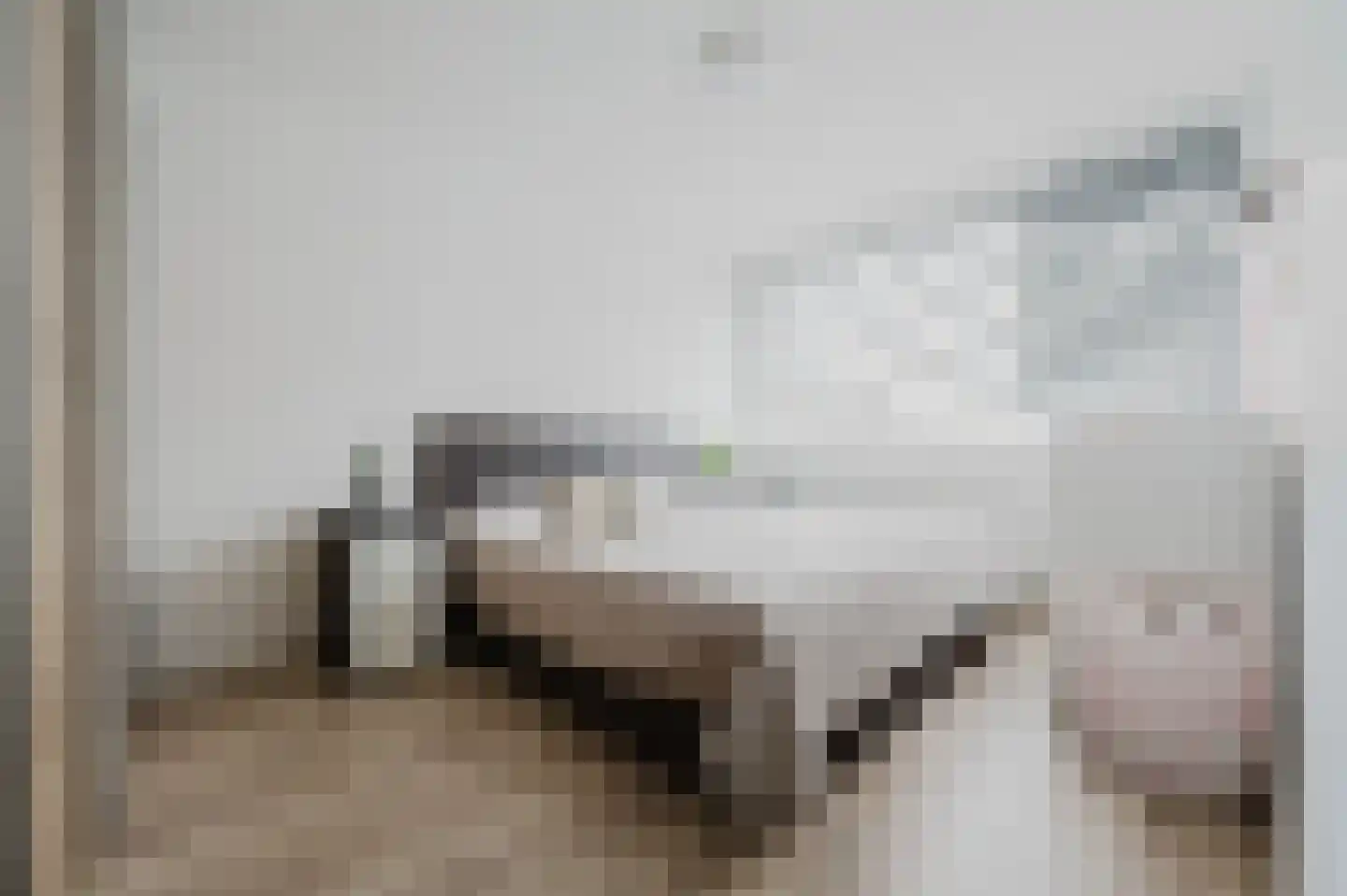 Fresiastraat 50 Spijkenisse thumbnail 19