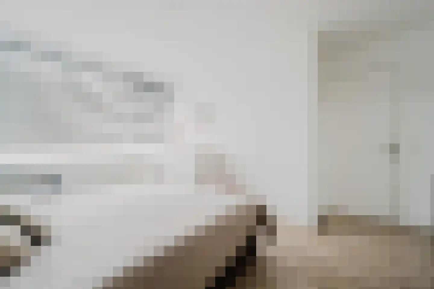 Fresiastraat 50 Spijkenisse thumbnail 20