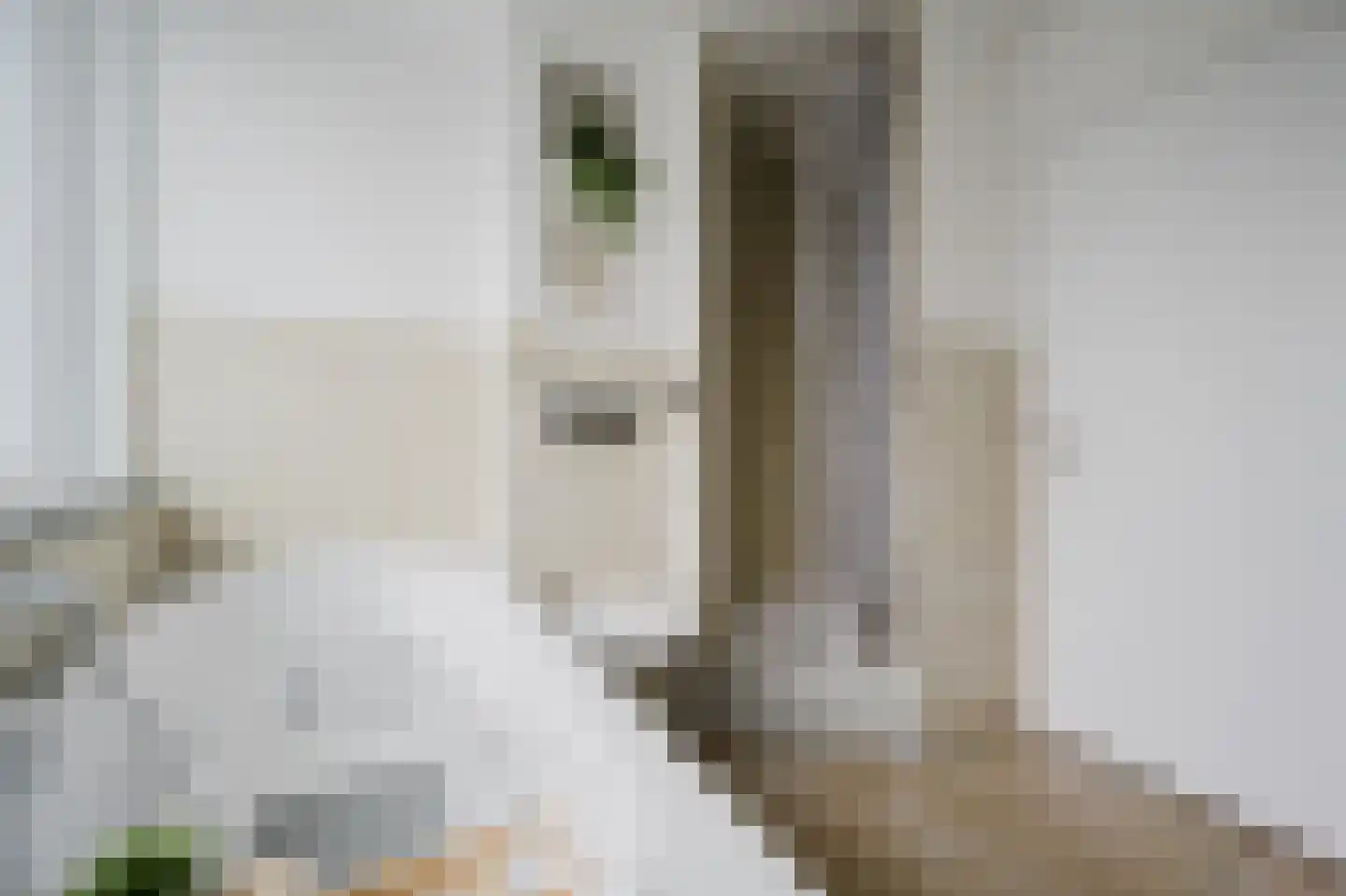 Fresiastraat 50 Spijkenisse thumbnail 22