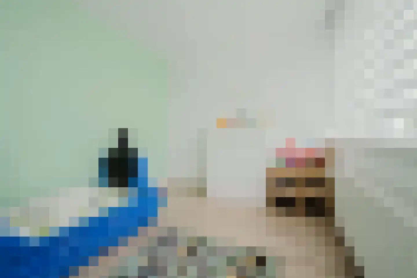 Fresiastraat 50 Spijkenisse thumbnail 26