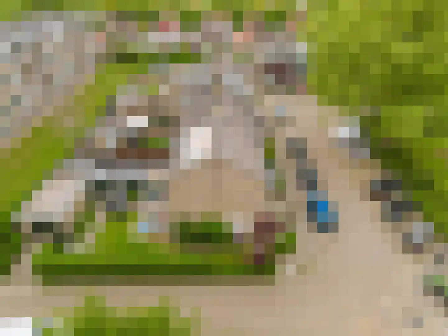 Fresiastraat 50 Spijkenisse thumbnail 7