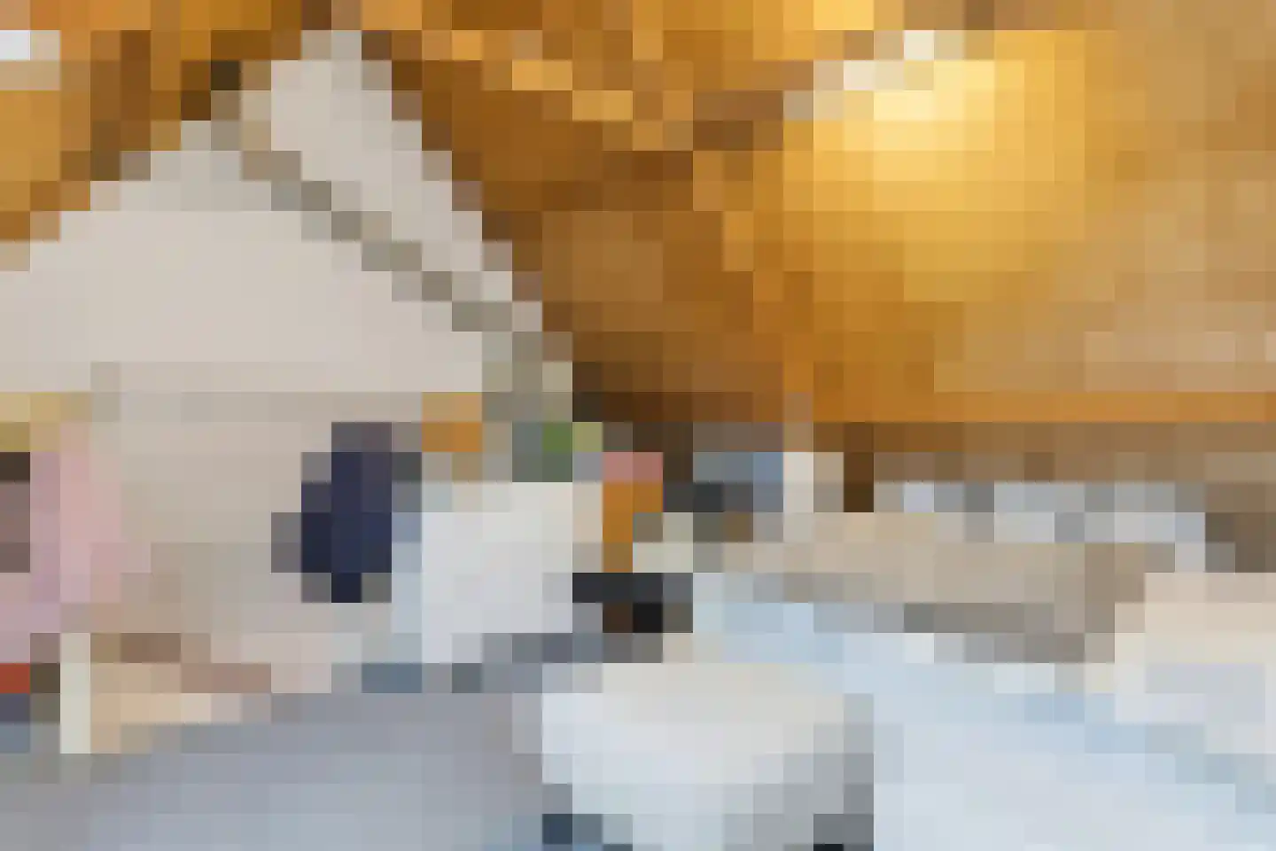 Fresiastraat 6 Purmerend thumbnail 23