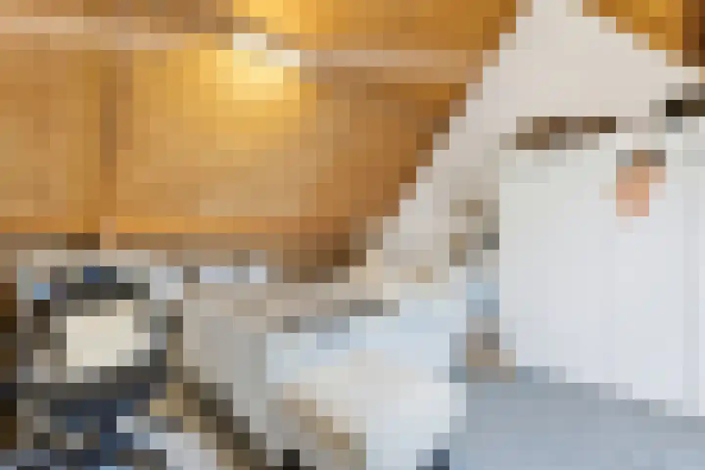 Fresiastraat 6 Purmerend thumbnail 24