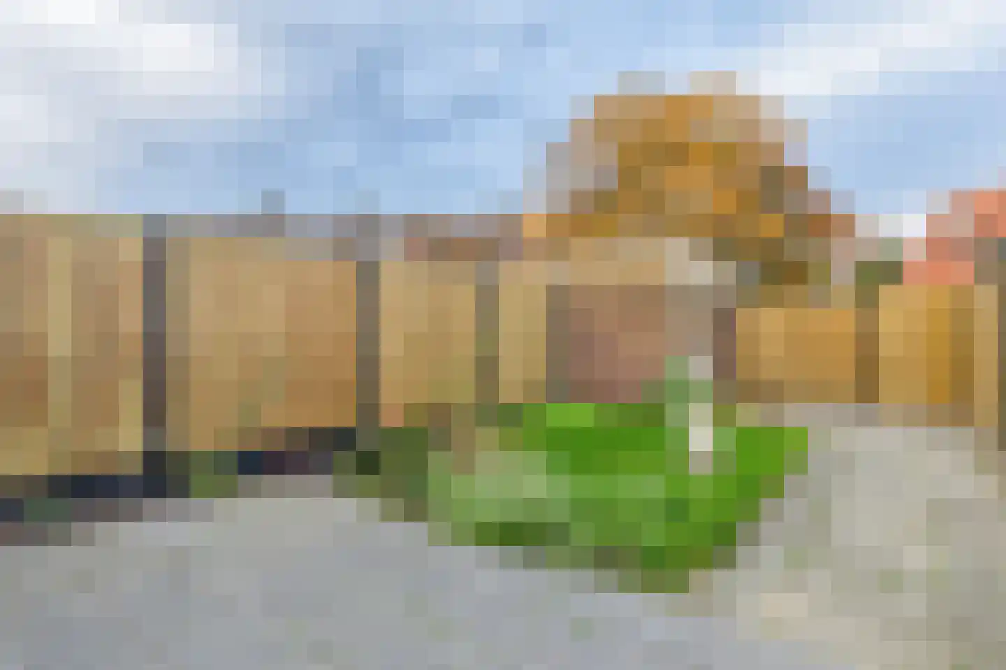 Fresiastraat 6 Purmerend thumbnail 25