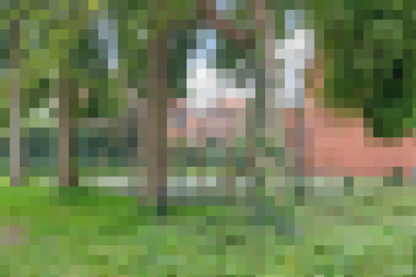 Fresiastraat 6 Purmerend thumbnail 29