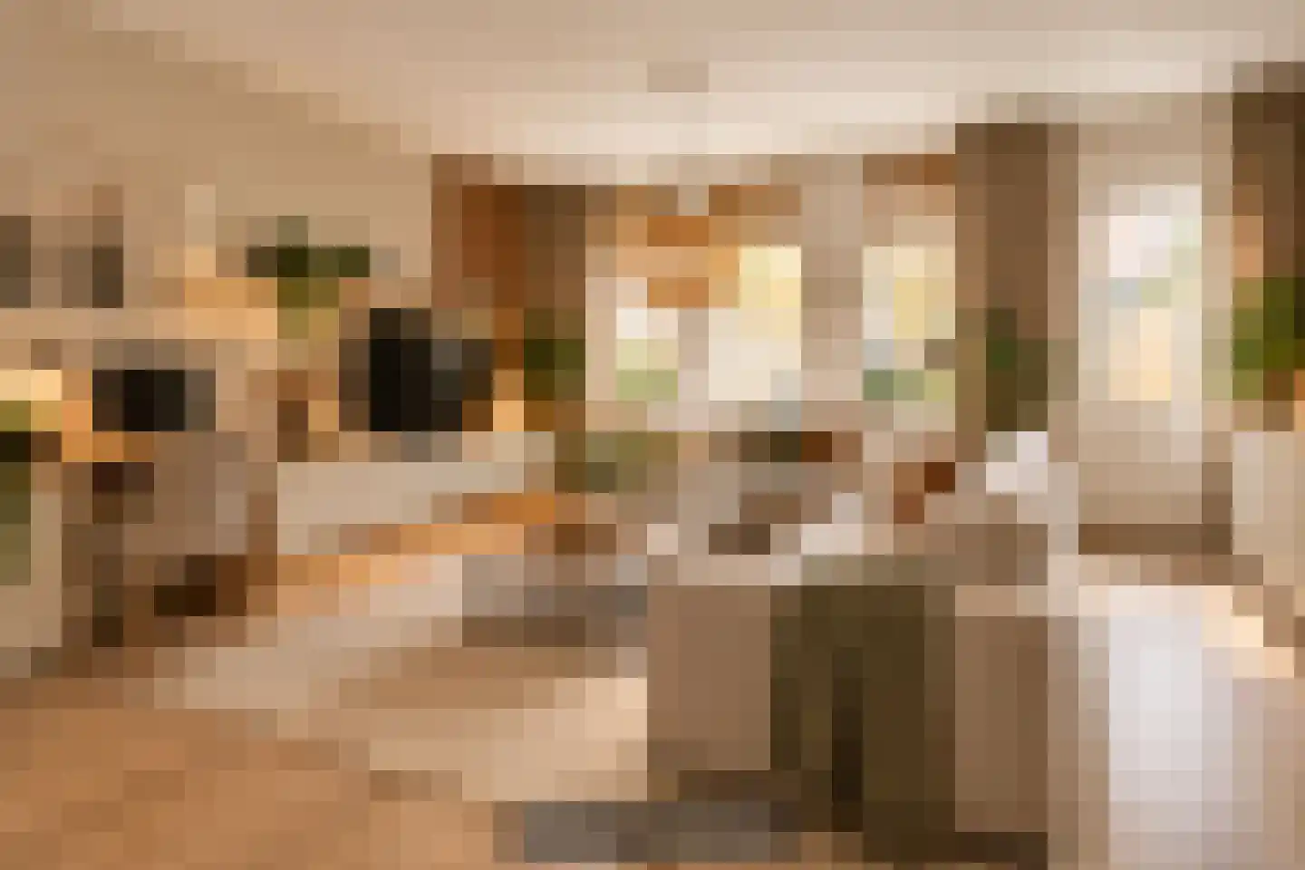 Fresiastraat 6 Purmerend thumbnail 8