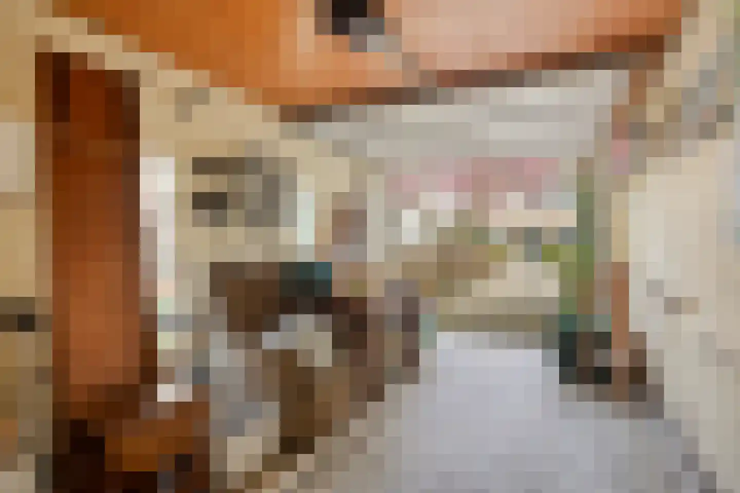 Fresiastraat 6 Waarland thumbnail 31