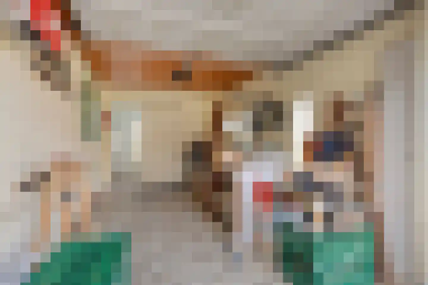 Fresiastraat 6 Waarland thumbnail 32