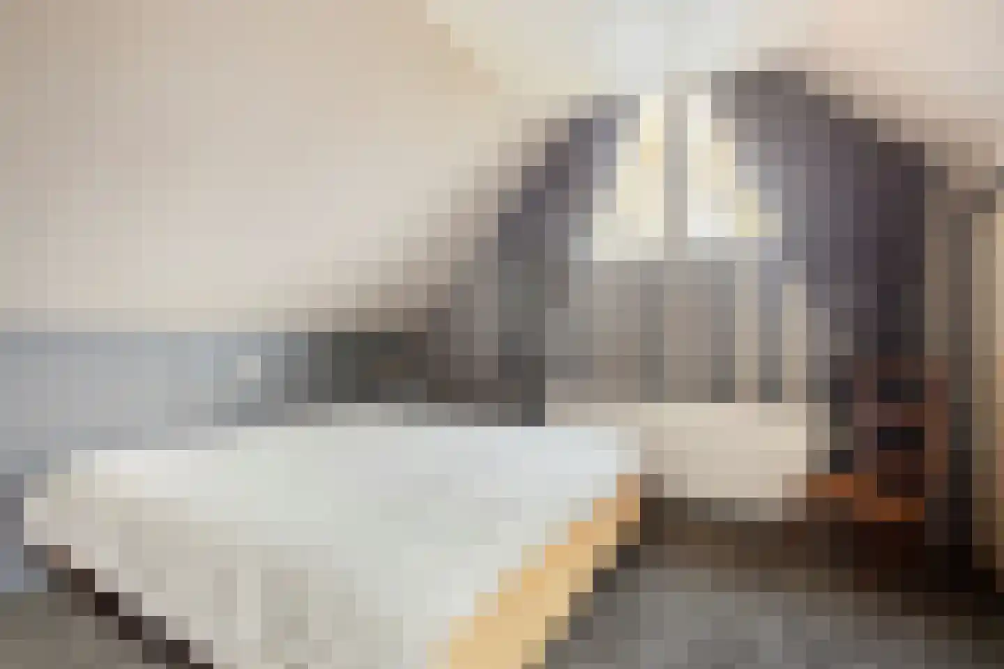 Fresiastraat 6 Waarland thumbnail 40