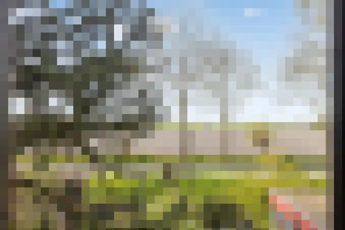 Fresiastraat 6 Waarland thumbnail 45