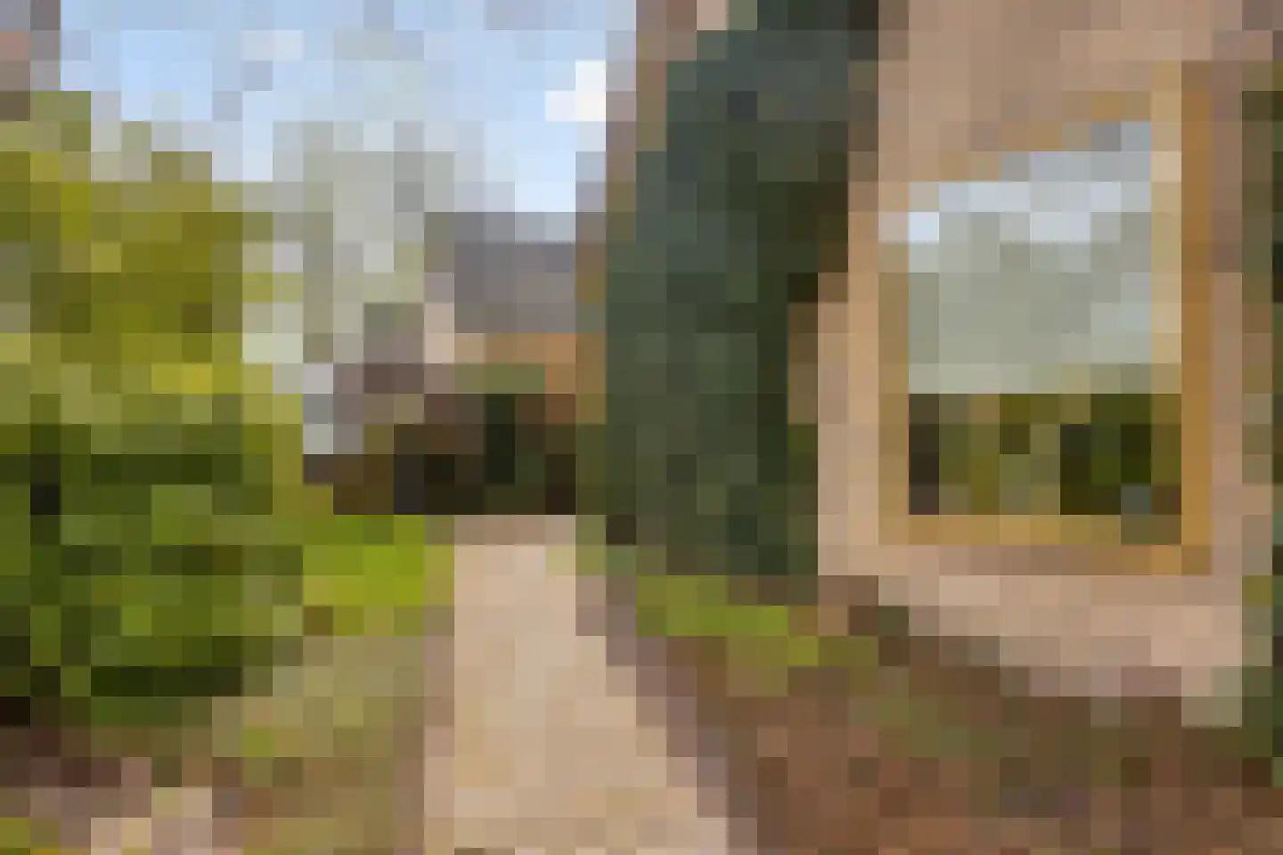 Fresiastraat 6 Waarland thumbnail 48