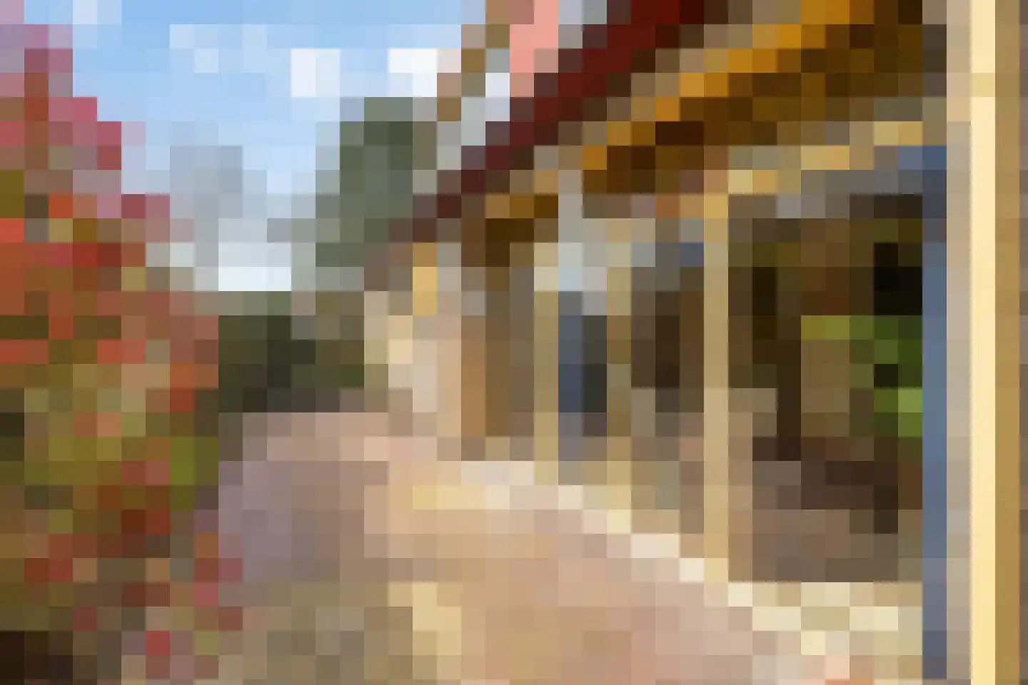 Fresiastraat 6 Waarland thumbnail 49