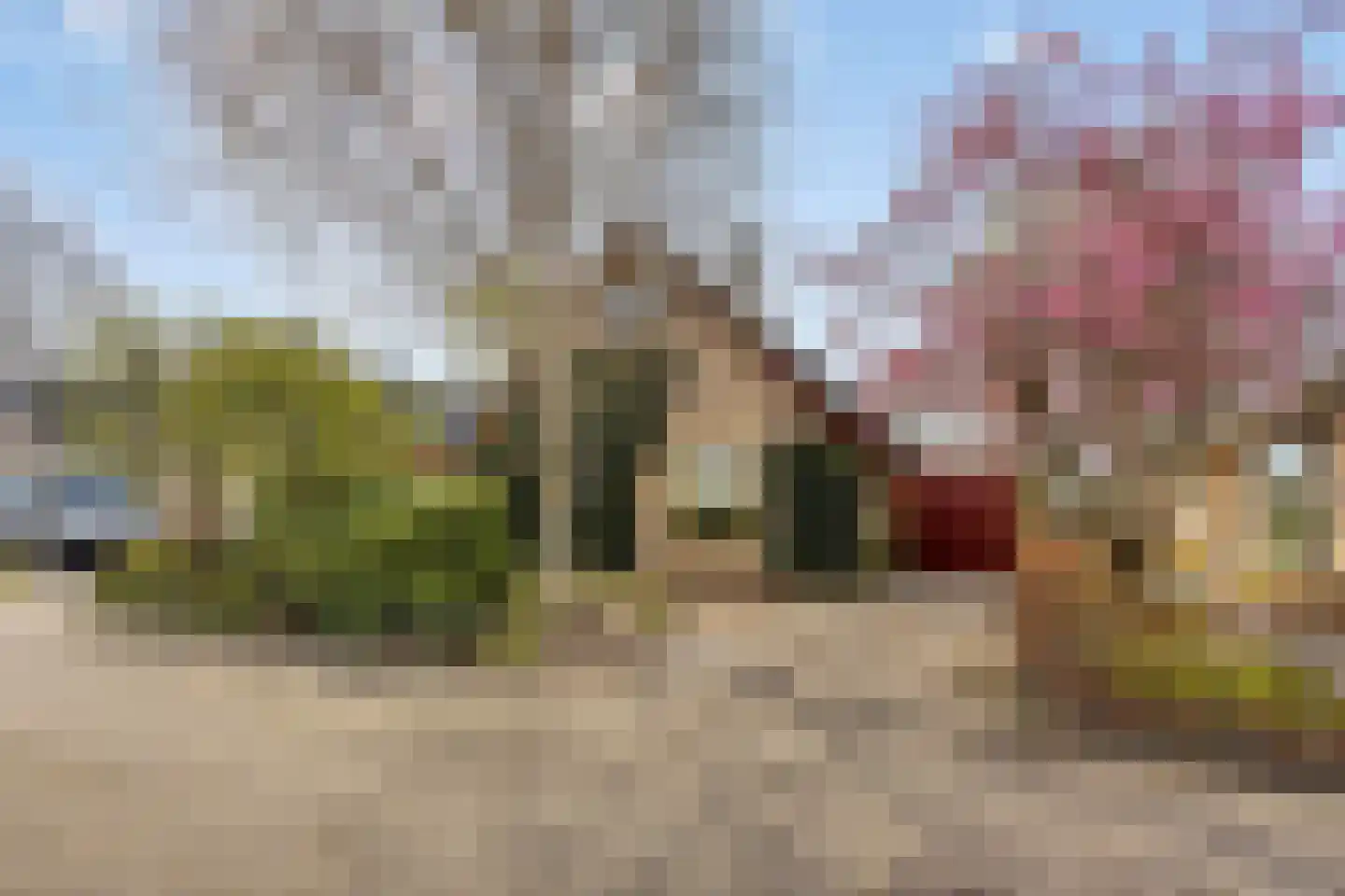 Fresiastraat 6 Waarland thumbnail 5