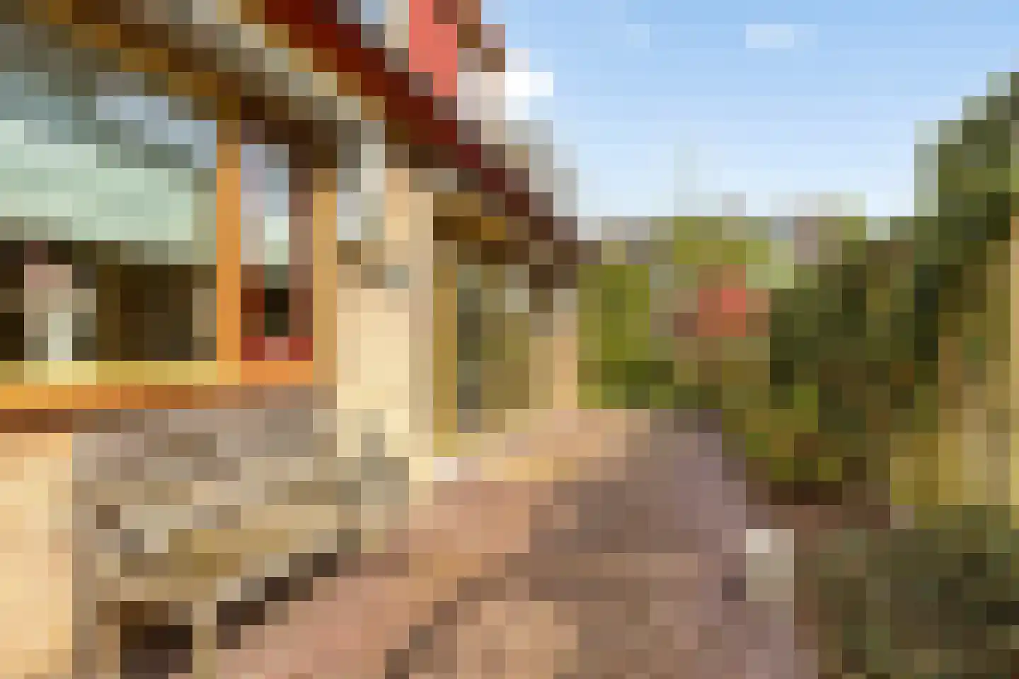Fresiastraat 6 Waarland thumbnail 50