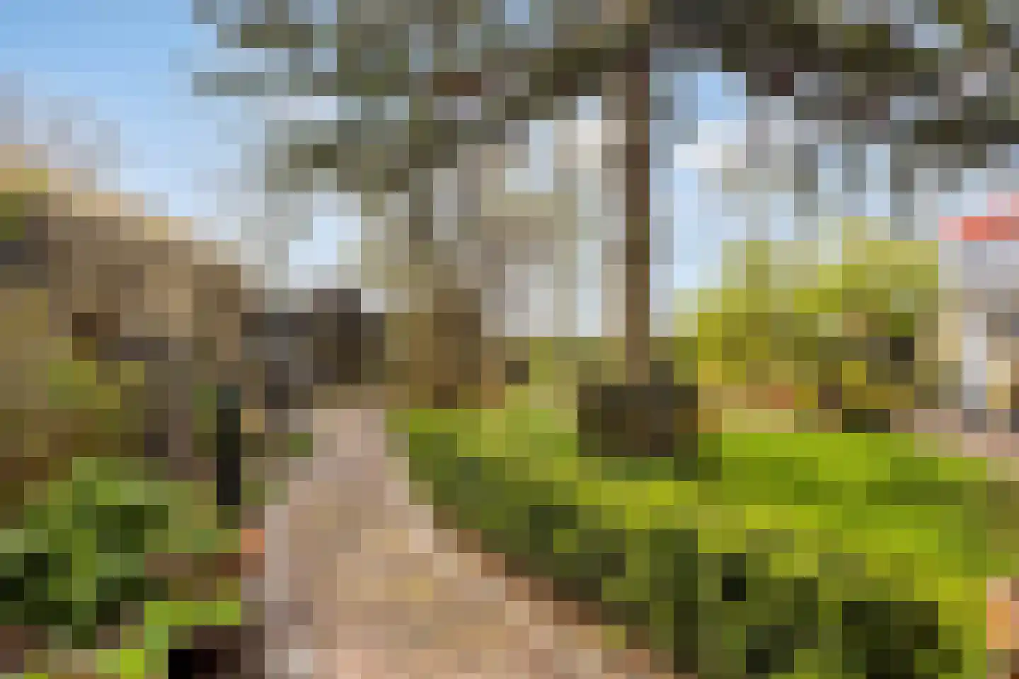 Fresiastraat 6 Waarland thumbnail 52