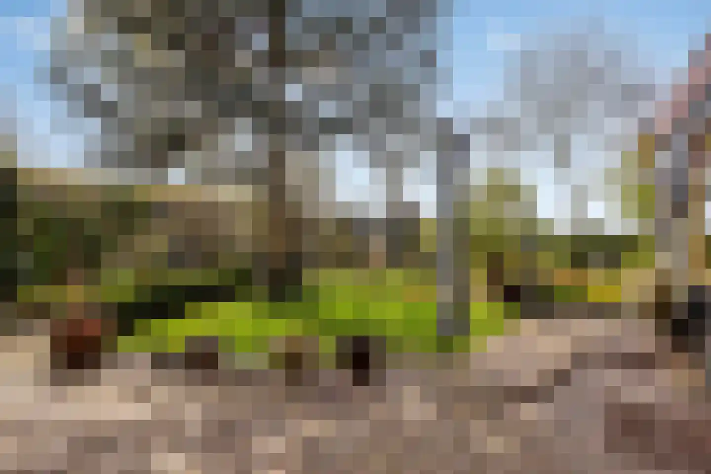 Fresiastraat 6 Waarland thumbnail 53