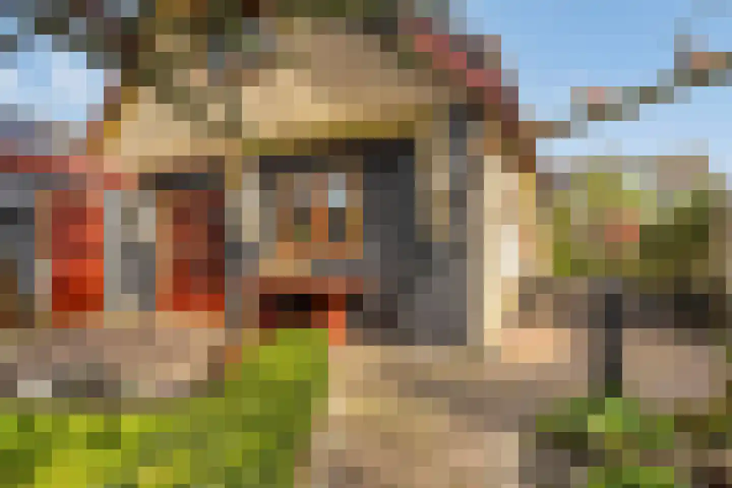 Fresiastraat 6 Waarland thumbnail 54