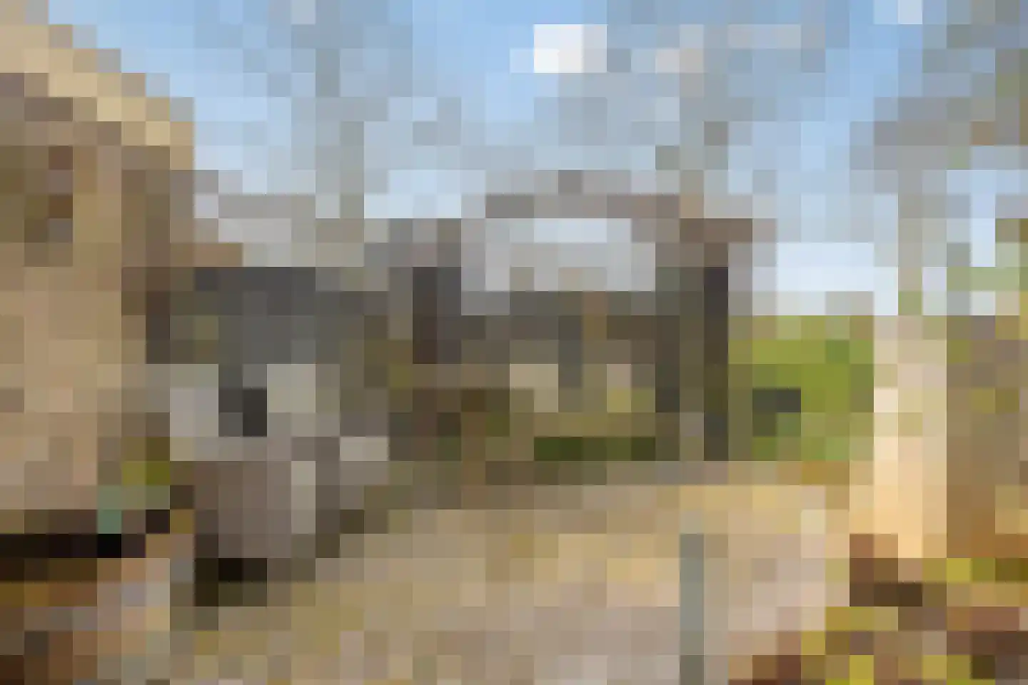 Fresiastraat 6 Waarland thumbnail 55