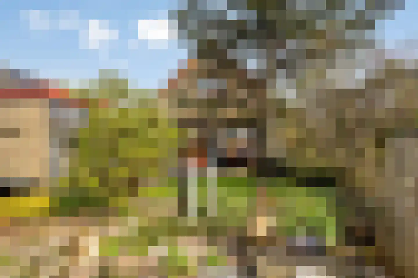 Fresiastraat 6 Waarland thumbnail 56