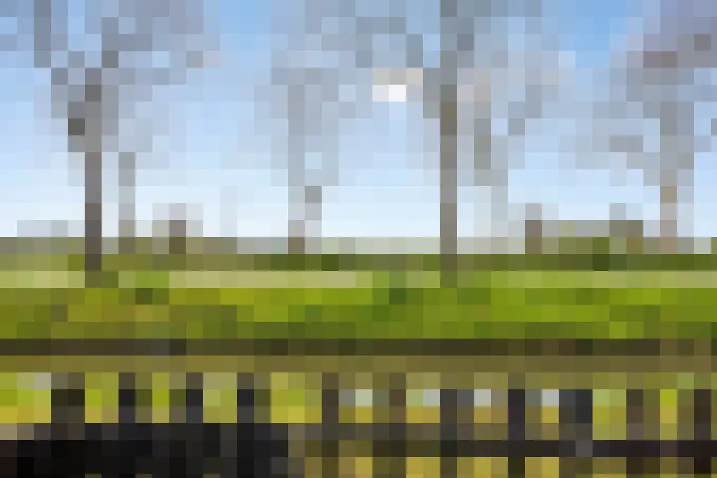 Fresiastraat 6 Waarland thumbnail 57