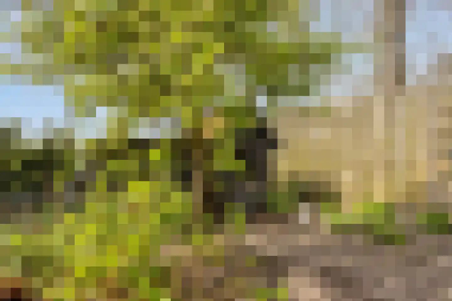 Fresiastraat 6 Waarland thumbnail 59