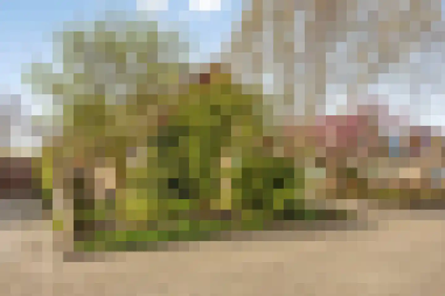 Fresiastraat 6 Waarland thumbnail 6