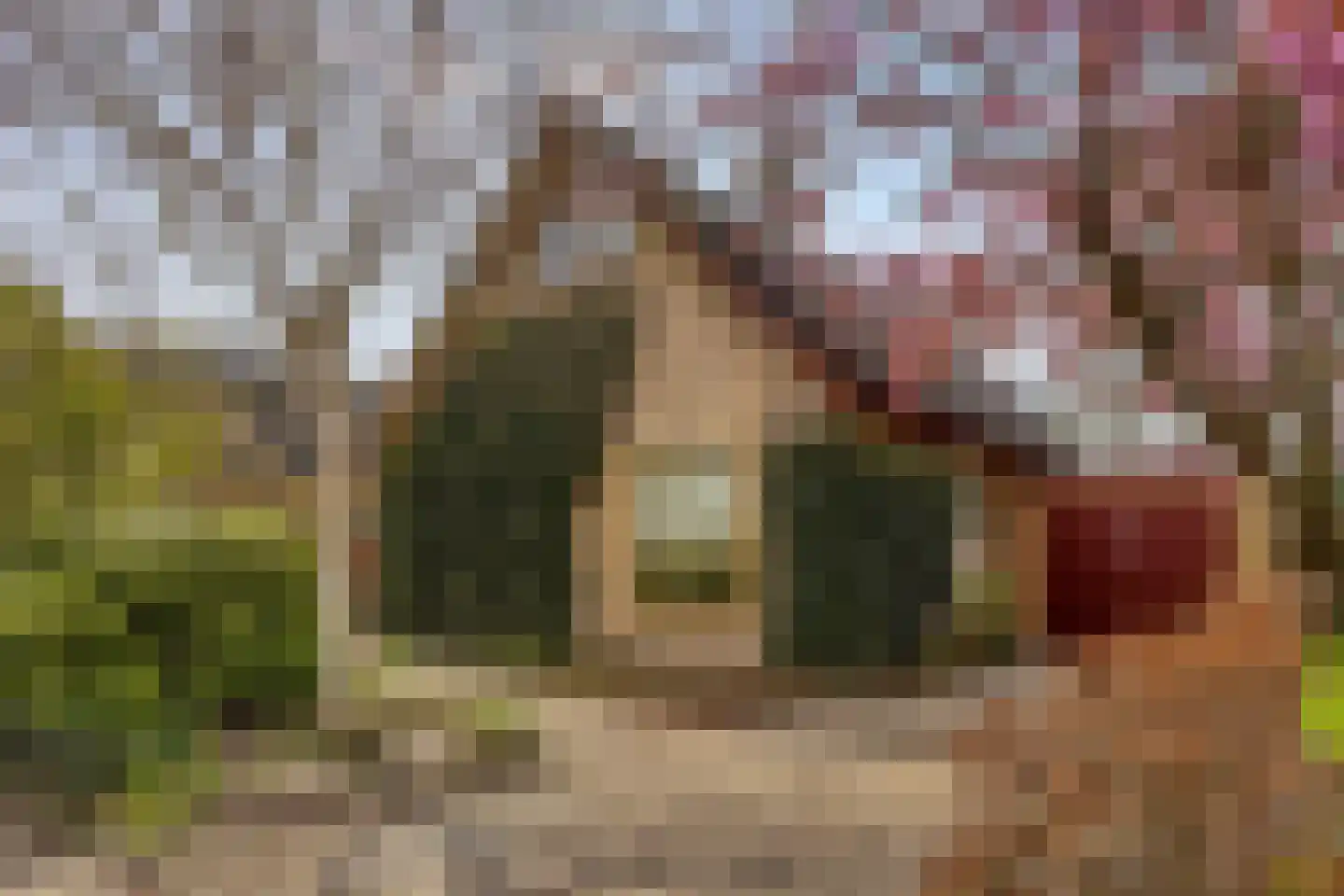 Fresiastraat 6 Waarland thumbnail 7