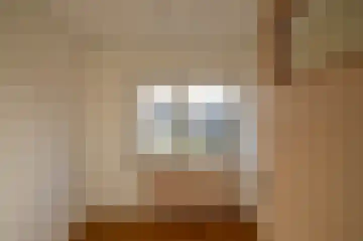 Fresiastraat 60 Sappemeer thumbnail 12