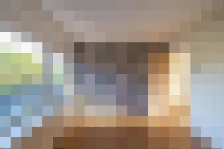 Fresiastraat 60 Sappemeer thumbnail 15