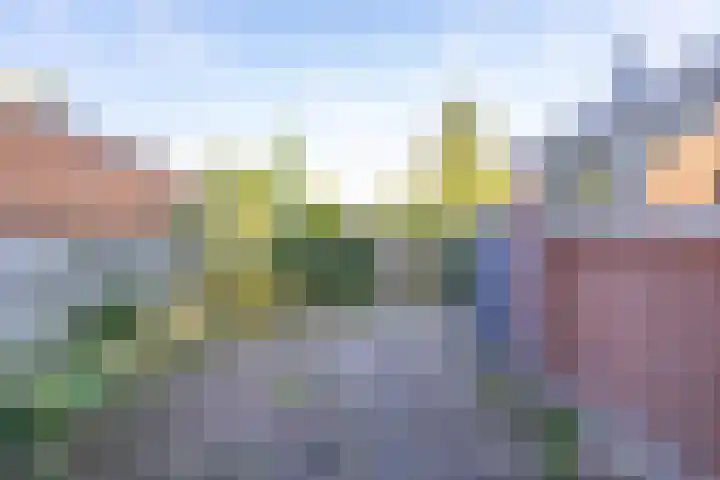 Fresiastraat 60 Sappemeer thumbnail 20
