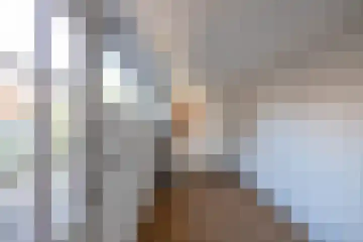 Fresiastraat 60 Sappemeer thumbnail 9