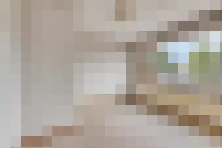 Fresiastraat 62 Made thumbnail 25