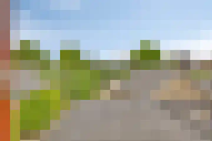 Fresiastraat 62 Made thumbnail 27
