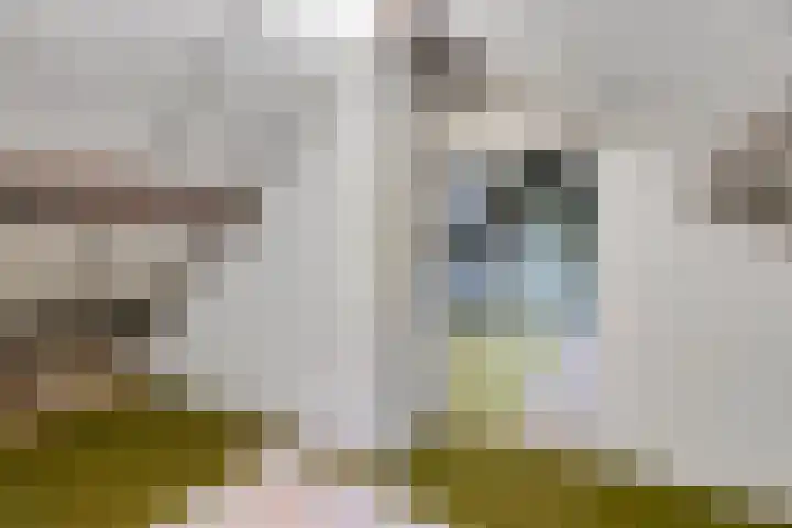 Fresiastraat 62 Made thumbnail 28