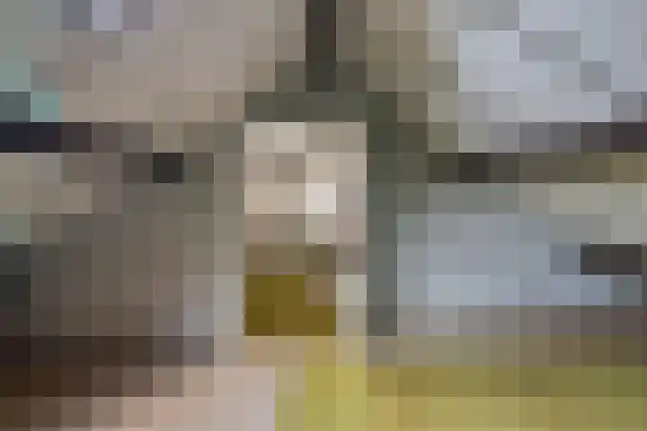 Fresiastraat 62 Made thumbnail 29