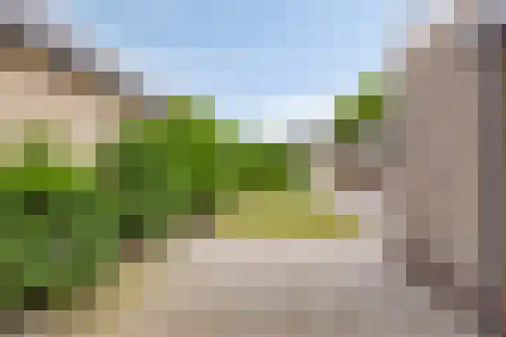 Fresiastraat 62 Made thumbnail 30